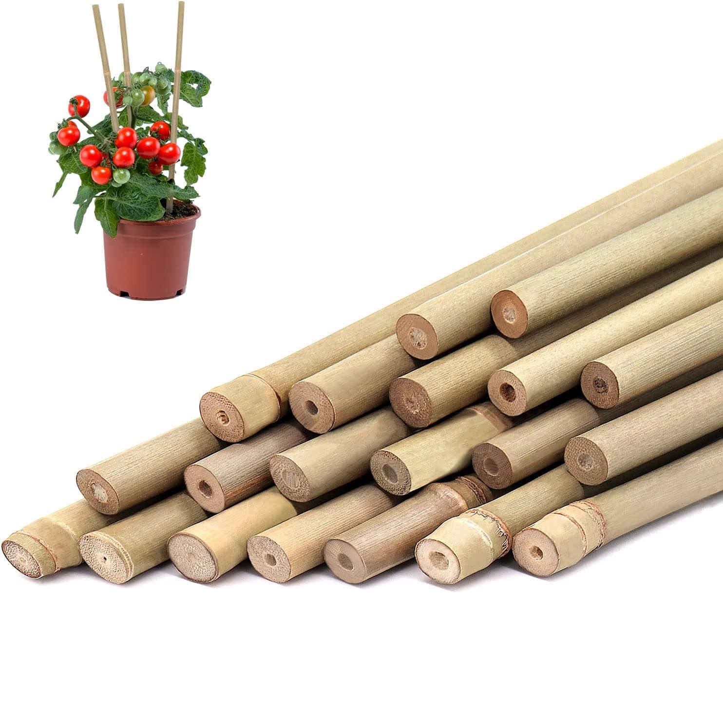Plant Support Stake - 10pcs,Bamboo Plant Stakes For Outdoor and
