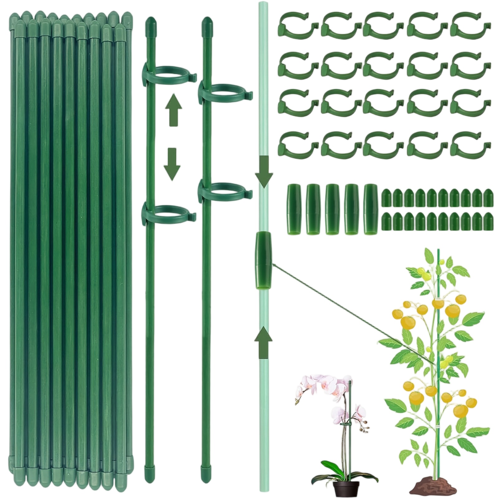 Plant Support Stake - Plant Supports Rod Single Stem Shrub