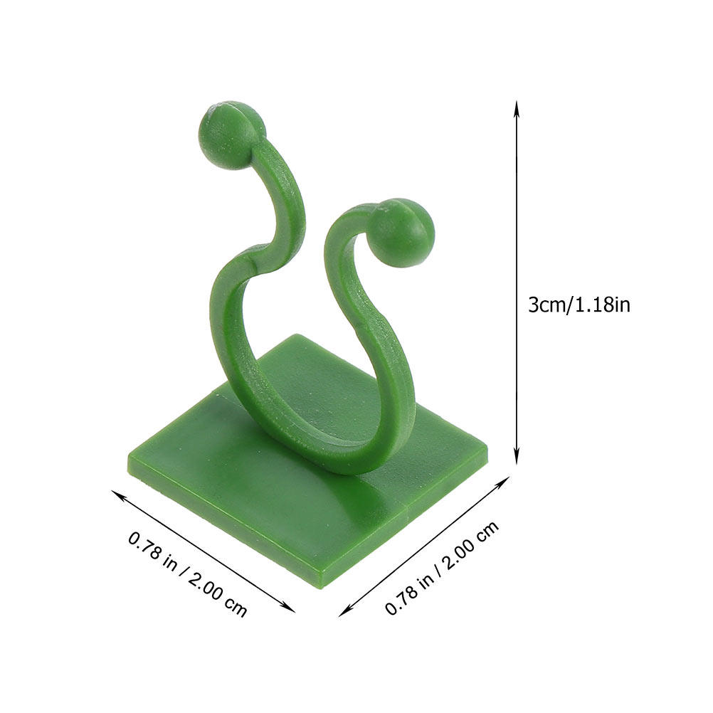 80Pcs Plant Climbing Fixture H - Pothos ulasan dan harga