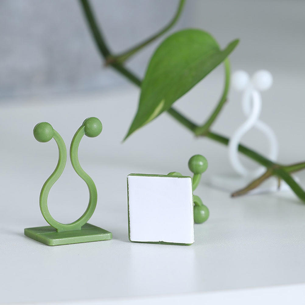 80Pcs Plant Climbing Fixture H - Pothos ulasan dan harga