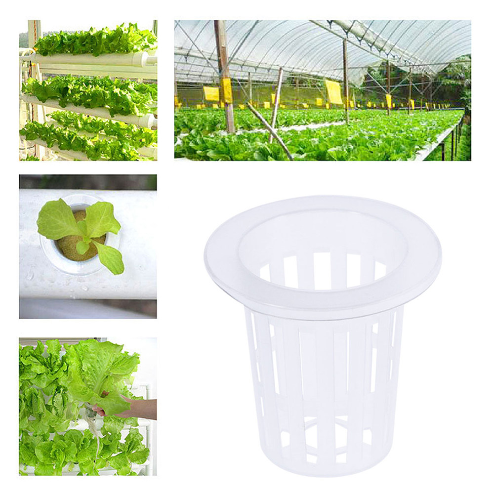 10pcs Hydroponic Vegetable Net - Plant Pot ulasan dan harga