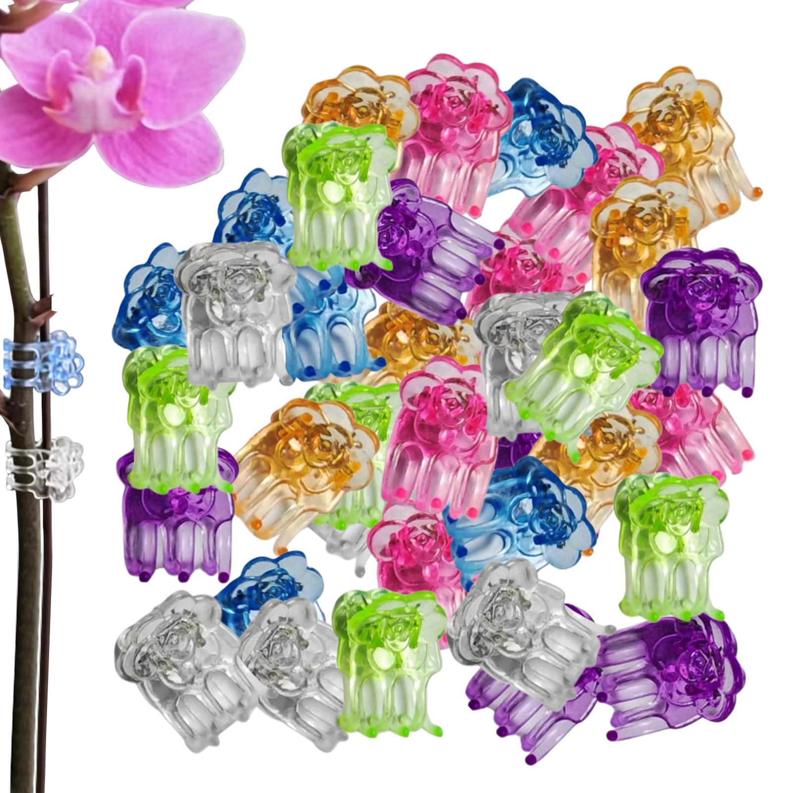 Orchid Clips 60 Pieces Butterf - Terracotta Pot ulasan dan harga