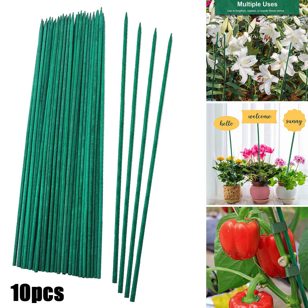 10pcs 40cm Green Plant Support - Plant Support Stake ulasan dan harga