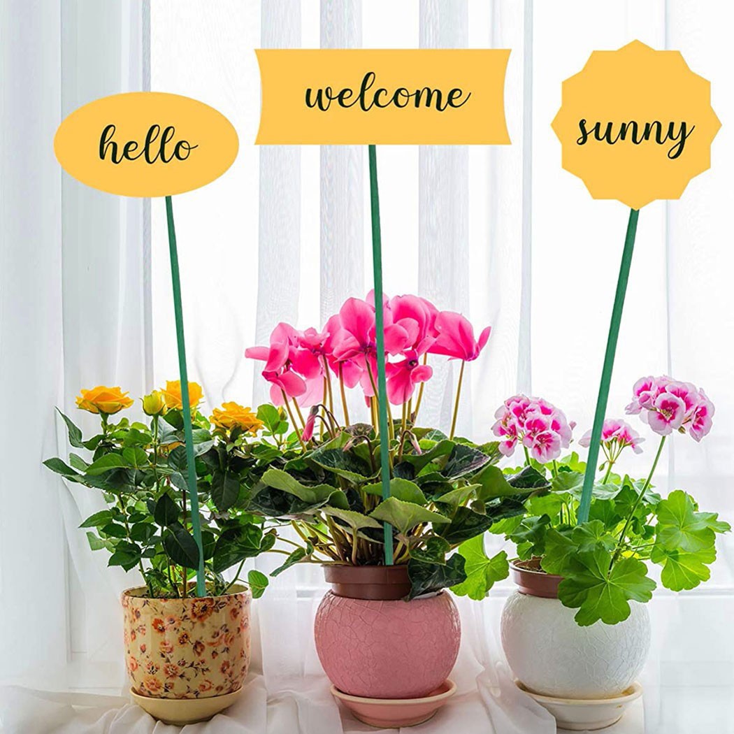 10pcs 40cm Green Plant Support - Plant Support Stake ulasan dan harga