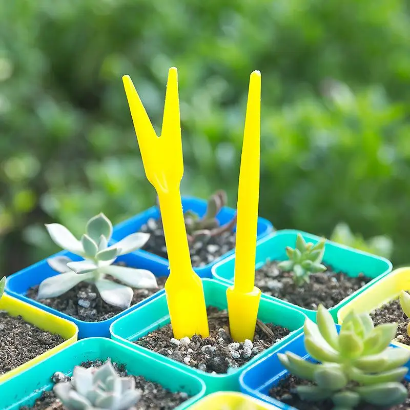 1/10Pcs Sowing Succulents Tran - Succulent Set ulasan dan harga