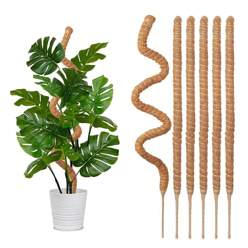 Monstera Plant Moss Pole Suppo - Plant Support Stake ulasan dan harga