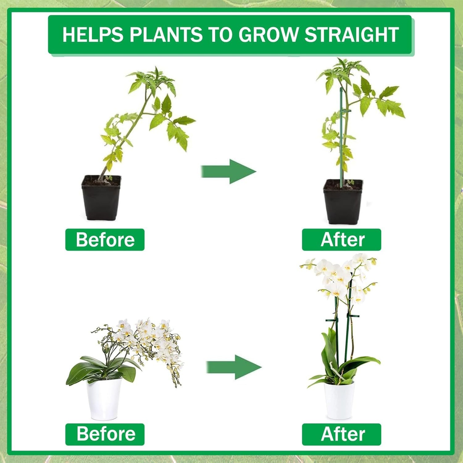 Plant Supports Rod Single Stem - Plant Support Stake ulasan dan harga