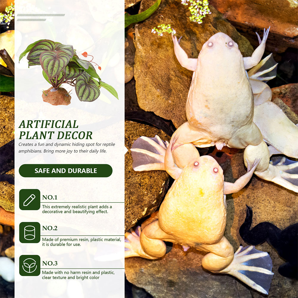 High Quality Simulation Terrar - Snake Plant ulasan dan harga