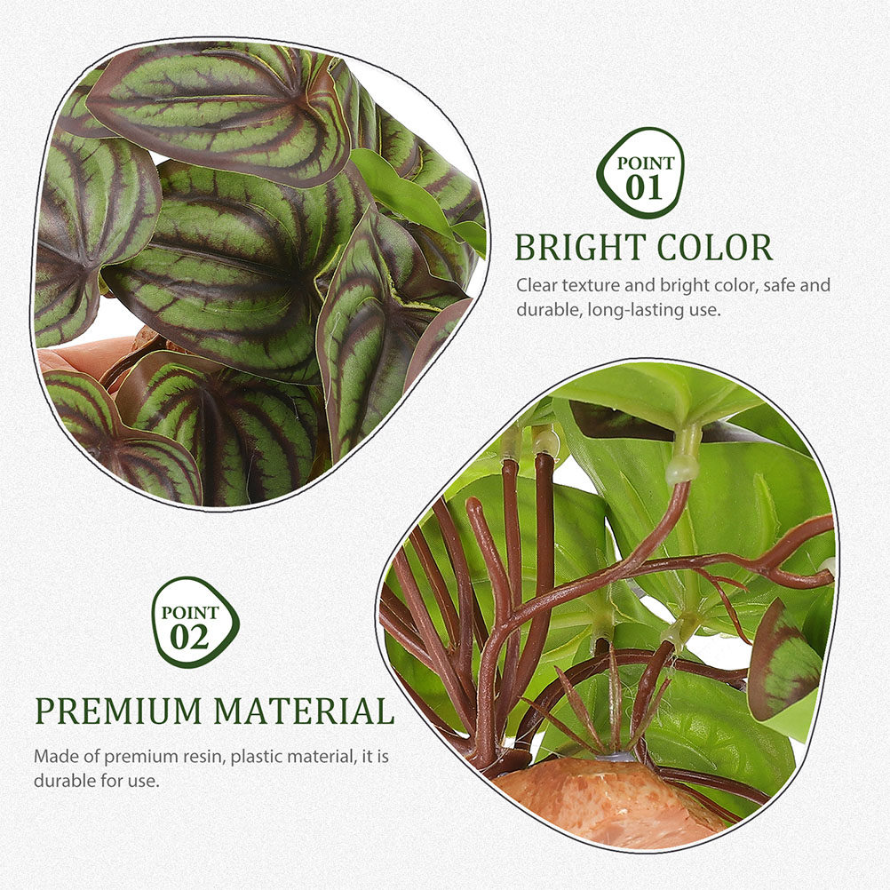 High Quality Simulation Terrar - Snake Plant ulasan dan harga