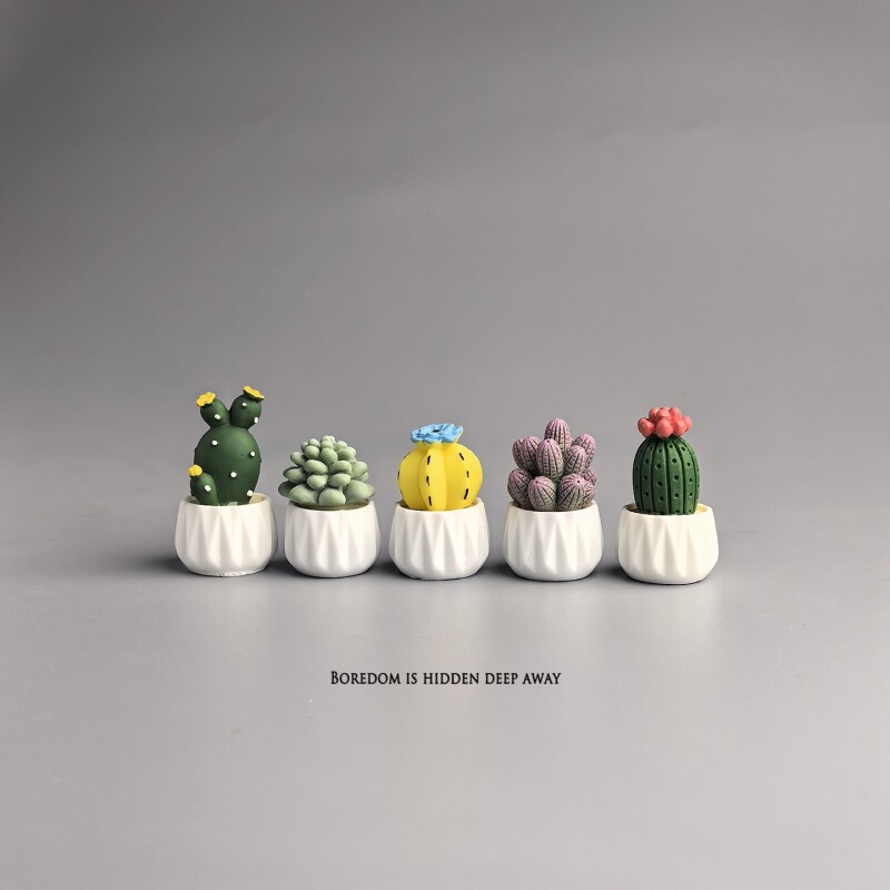 Potted Cactus Succulent Mini W - Succulent Set ulasan dan harga