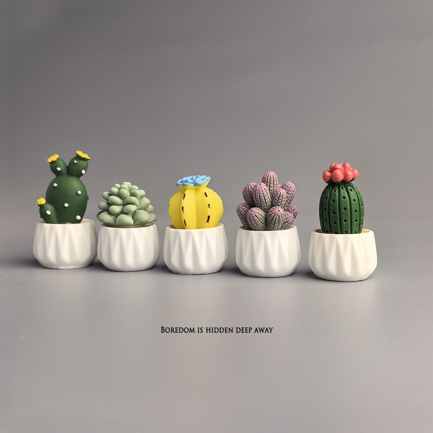 Potted Cactus Succulent Mini W - Succulent Set ulasan dan harga