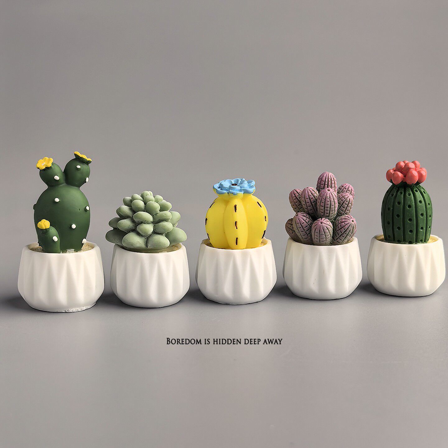 Potted Cactus Succulent Mini W - Succulent Set ulasan dan harga