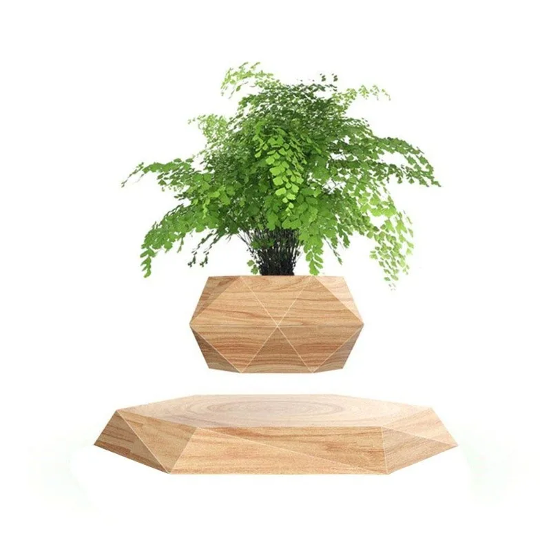 Levitating Plant Pot Floating  - Plant Pot ulasan dan harga