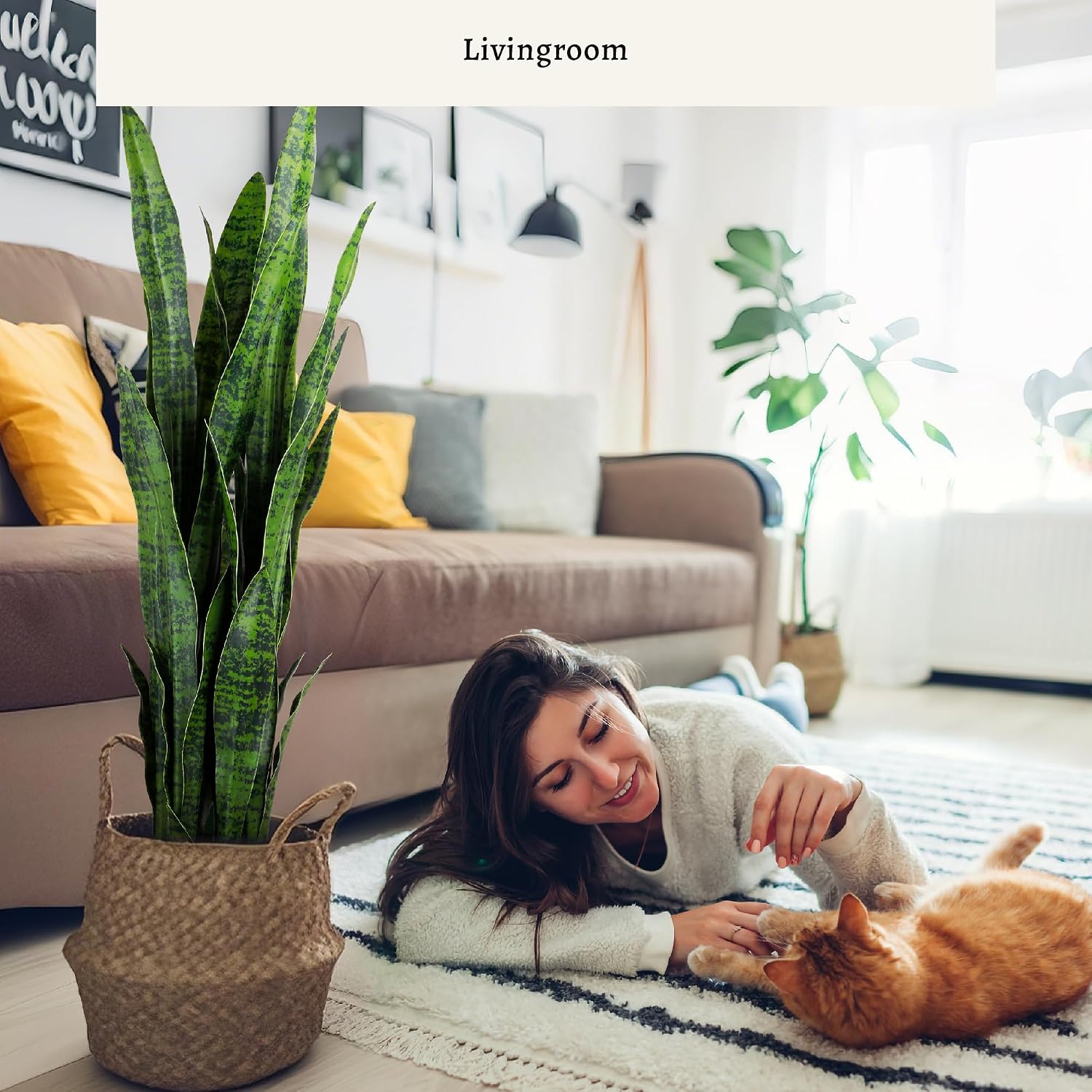 Artificial Snake Plant, 35in G - Snake Plant ulasan dan harga