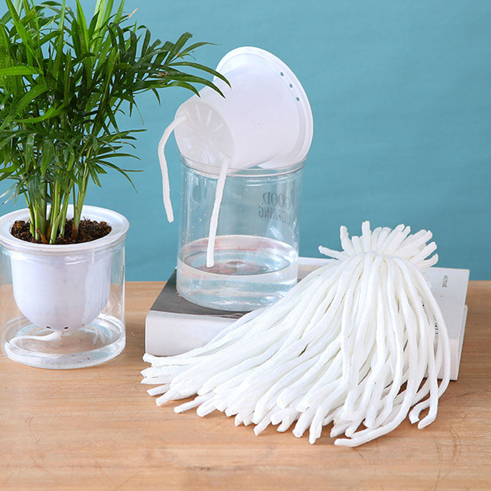 Self Watering Cotton Cord 100  - Plant Pot ulasan dan harga